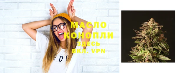 гидра Магас
