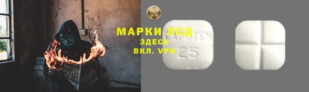 гидра Магас