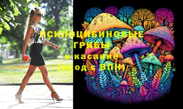 гидра Магас