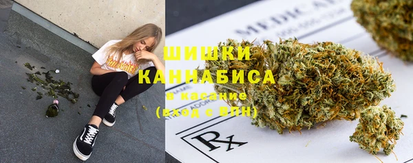 молекула духа Медногорск