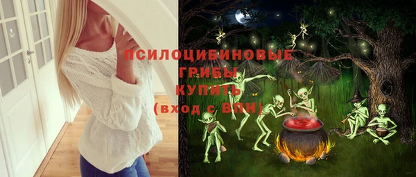молекула духа Медногорск