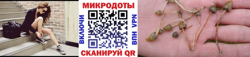 Псилоцибиновые грибы Cubensis  blacksprut ссылка  Райчихинск  цена наркотик 